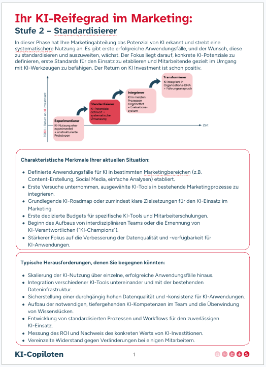 KI-Profil Stufe 1